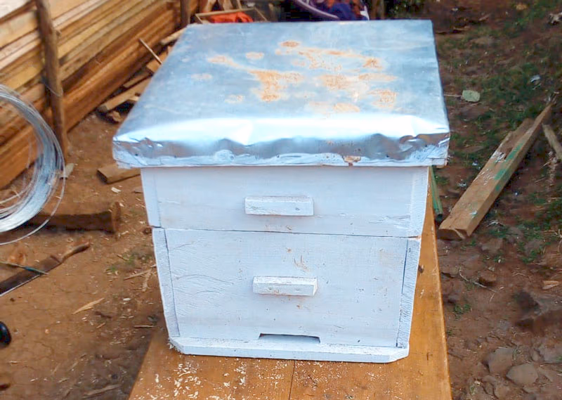 Beehive photo 4