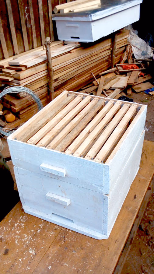 Beehive photo 7